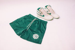 23 Ball Shorts - Celtic